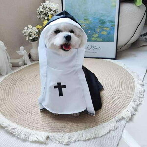 ybg RXv ߑ nEB C  L  ʋC z f ʔ \ }g Be  p[eB[ Cxg