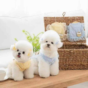  j̎q ̎q vZXhX [X ~NCG[ XJCu[ ėp ΂߂obO |GXe ^ 킢 受