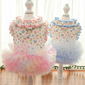 ybg  ڐG⊴ XJ[g L  vg  efB rV   sN j̎q ̎q 킢 ӂӂ |GXe f  X^C K y t