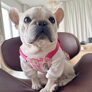  j̎q ̎q ėp 킢 L[g TXy_[XJ[g  ETM vg  t`uhbO pO sN |GXe jZbNX   U