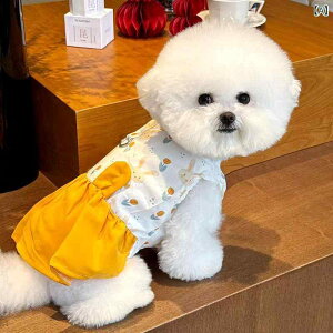 ybgXJ[g efB rV |jA [NV[     sN ^ L 킢  U y  t@bV jZbNX  AEghA