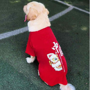 ybg t p bV xXg S[fgo[ uh[ ^ ^ ʋC |GXe JWA U   F