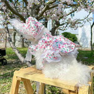 ybg j̎q ̎q ^ c t {lbgXq [Y ԕ XJ[g Zbg |GXe f 킢 t[ y Up I[V[Y