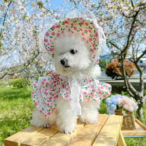 ybg L ^ c j̎q ̎q t 킢 L[g  sN [Y t[ ԕ vg ~jXJ[g hX |GXe