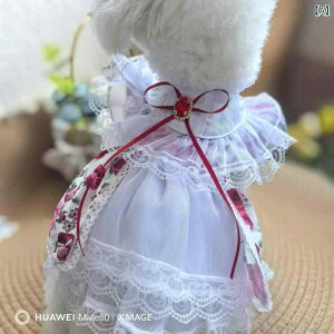 hX ybg vZX   [Y [X |GXe  L ETM p[eB[ 畞  킢 y ʋC  K[[ tF~j GKg 