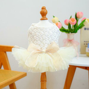 ybg XJ[g j̎q ̎q  `` `[ tA {[ vZX 킢 ӂӂ  t |GXe y Xn EFfBO p[eB[ K[[