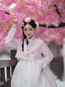 n{NhX fB[X {vZX o Xe[Wߑ sN `[ |GXe I[V[Y 킢 Cxg ʐ^f