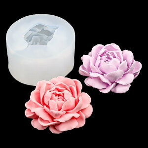 �P�[�L�^ �V���R�� �Ղ̓� �W���X�~���̉� �s�K���`�� ����L�����h�� �΍p ���� �h���b�v�P �u�� �`���R���[�g ���[�X �x�C�N �f�R���[�V���� ���� �f�� �_�� �ϔM �ė��p�\ ���َq��� 