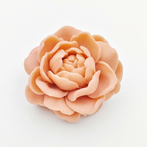 P[L^ WX~  Hip VR [X `R[g x[LO Lh W fR[V NA ^ ^ ^   sK ` 킢