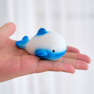 ANAE  Cm CJ NW l bg  ~j`A tBMA W  nC  CeA fR[V vX`bN  킢  i