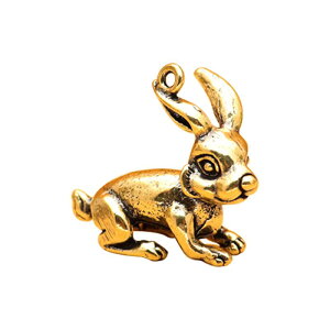 L[z_[ Y fB[X \x  `[t ^J g  ANZT[ `[ u  NGCeBu ig I[V[Y t@bV