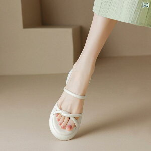 T_ fB[X I[vgD  Xgbv EhgD JWA  v S ItzCg CG[ 傫 ig Oo