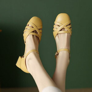 T_ fB[X   ҂ݍ EhgD I[v[N Xgbv obN v PU S ؍ ʋC ~hq[ JWA   I