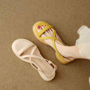 T_ fB[X  I[vgD q[ Xgbv JWA  EhgD v o[\[ obN ItzCg CG[ 傫TCY