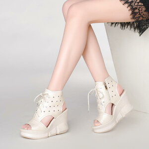 T_ fB[X { EFbWq[ {v  vbgtH[ ؂蔲 JWA t ItzCg  S ؊v ig