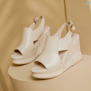 ChXgbvT_ fB[X { EFbW\[   Vv {v EhgD ꕶobN S\[ ؊v x[W  JWA ig