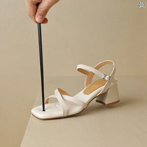 XgbvT_ fB[X rv NXXgbv obN XNGAgD ~hq[  x[W AvRbg Vv JWA ig 傫߃TCY