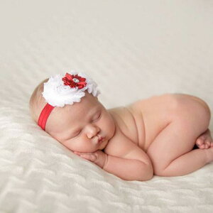 wbhoh xr[ LbY j̎q ̎q NX}X p ԕ Ђ܂蕿  zn v[c LfB Be  Ԃ ʐ^ wAANZT[ 킢 