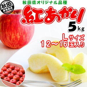 HcY  g 5kg LTCY 12-16ʏo׊:11{-12{ ͂ws