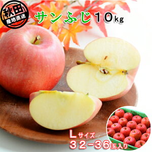 HcY Tӂ10kg LTCY 32-36 o׊:11{-12{ ͂ws