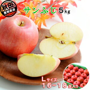 HcY Tӂ5kg LTCY 16-18 o׊:11{-12{ ͂ws