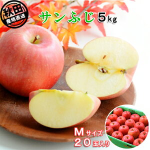 HcY Tӂ5kg MTCY 20ʏo׊:11{-12{ ͂ws
