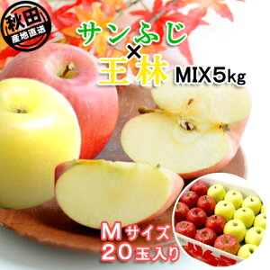 HcY Tӂ×5kg MTCY20 ~bNXo׊ԁF11{-12{ ͂ws