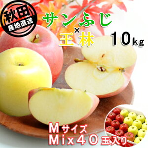 HcY񂲁uTӂ×сv 10kgiM 40ʁjyo׊:11{`12{܂Łz ɏ