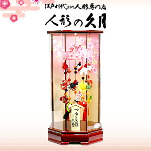 v 邵 ANP[X  ݂邵 l` TKH-1