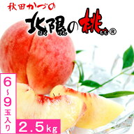 北限の桃 2.5kg 6～9玉入 秋田県産 JAかづの クール便 鹿角ブランド桃 白桃 もも お取り寄せ ギフト 贈答…