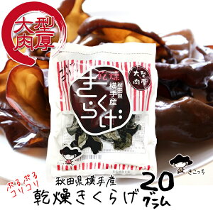 Y 炰 20O HcY _ ؎ LNQ 炰炰 ۏ  炰 LNQ kiku-20