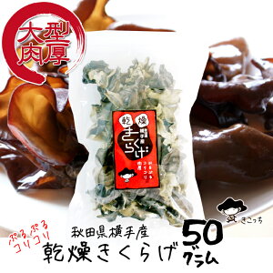 Y 炰 50O HcY _ ؎ LNQ 炰炰 ۏ  炰 LNQ kiku-50