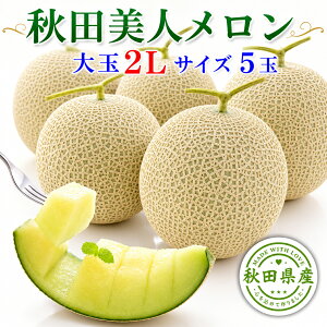�H�c���l������ 5��(2L) ���x15�x�ȏ�y�o�׊���:7�����{-8����{�z���͂����w��s�� ��