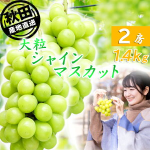 VC}XJbg嗱 2[ ϔ [ HcY Ԃǂ 炲 JA Hcӂ邳 Hc΂ Mtg  ʕ t[c  o׊:9{-10{܂Łi͂wsj