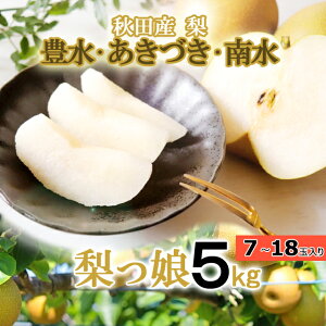 HcY uv5kg 7-18ʓ L/H/쐅 jEHcSY o׊:9{`10{ ͂ws JAHcȂ܂͂EJAΓ