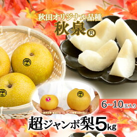秋田産 秋泉梨 5kg 5-10玉入ジャンボ梨 糖度15度！秋田オリジナル新種 出荷期間9月下旬から（お届け日指定不可）