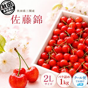 佐藤錦 2L」の人気商品一覧・価格比較 - 価格.com 佐藤錦 2kg クール便付き さくらんぼ