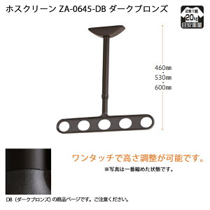 【川口技研】【軒天用物干し】【ベランダ天井】 ホスクリーン ZA-0645-DB ダークブロンズ