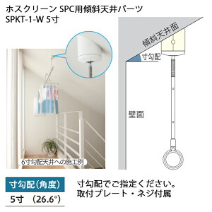 yZz zXN[ SPCpXΓVp[c SPKT-1-W zCg 5