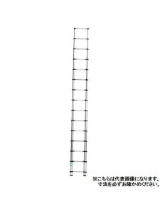 yACRzLk͂ MSN-38 (s)