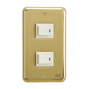 �y�݌ɂ���z�y�S�[���L�A�C�����h�z�X�C�b�`�v���[�g PM 02 HCL 790302
