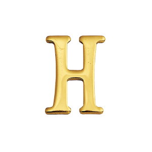 y݌ɂzyS[LAChzuX^[ 30 H 820108