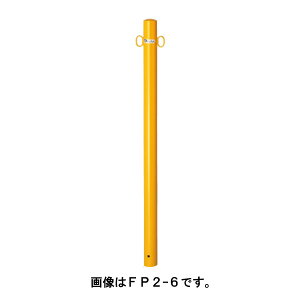 TL |[ Ԏ~ oJ[h[}N|Xg^Cv FP2-6  tbN2t [s]