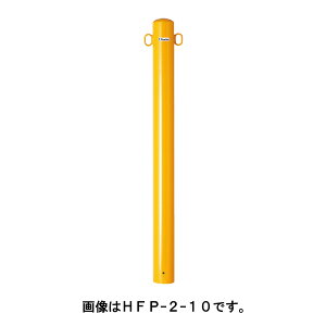 TL |[ Ԏ~ oJ[h[}N|Xg^Cv HFP2-10  [s]