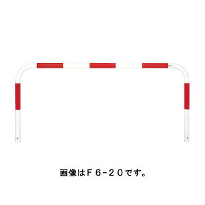 TL |[ Ԏ~ oJ[h[}NQ[g^Cv F6-20SF Ԕ [s]