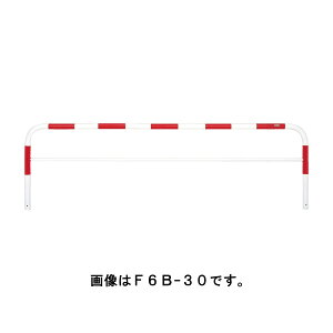TL |[ Ԏ~ oJ[h[}NQ[g^Cv F6B-30  [s]
