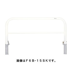 TL |[ Ԏ~ oJ[h[}NQ[g^Cv F6B-15SF  [s]