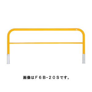 TL |[ Ԏ~ oJ[h[}NQ[g^Cv F6B-20SF  [s]