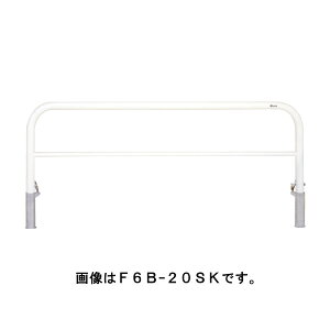 TL |[ Ԏ~ oJ[h[}NQ[g^Cv F6B-20SK  [s]