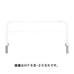 TL |[ Ԏ~ oJ[h[}NQ[g^Cv HF6B-20SF  [s]